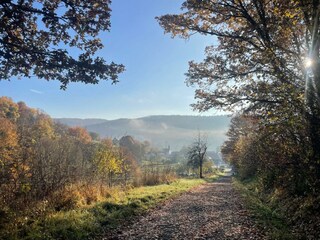 Auf den Waldwegen unweit des Ferienhauses