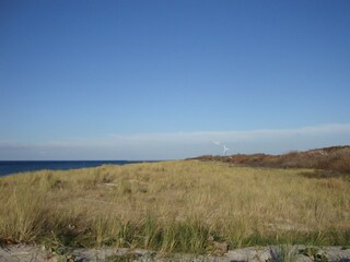 Blick über die Dünen