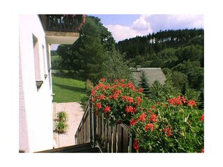 hinten: vom Balkon auf Terrasse