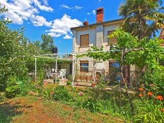 Apartment Valbandon  3