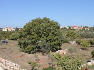 Apartment Fažana  13