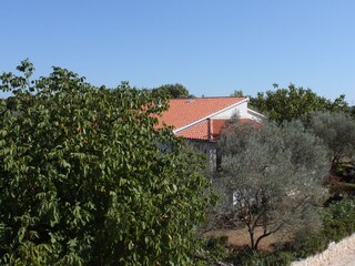 Apartment Fažana  14