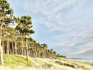 Weststrand