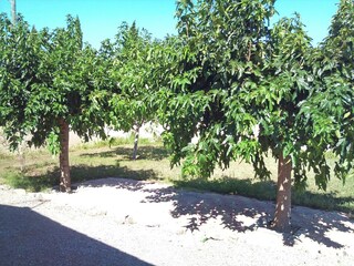 Casa de vacaciones Argeliers Grabación al aire libre 5