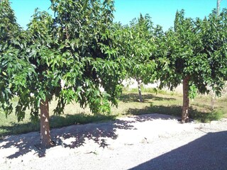 Holiday house Argeliers Outdoor Recording 13