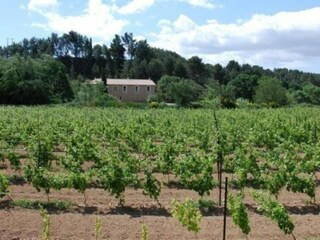 Vakantiehuis Argeliers Omgeving 37