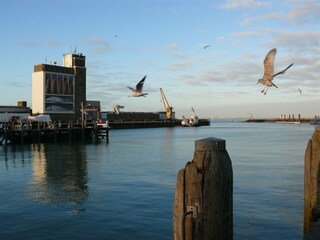 Fischerhafen Breskens