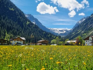 Blick ins Gemsteltal