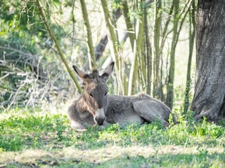 Villa Cavalaire-sur-Mer Umgebung 35