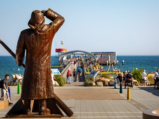 Der Fischer hält Ausschau