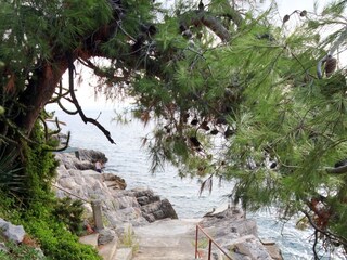 Apartment Zavalatica  2