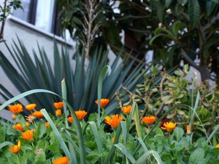 Apartment Zavalatica  12