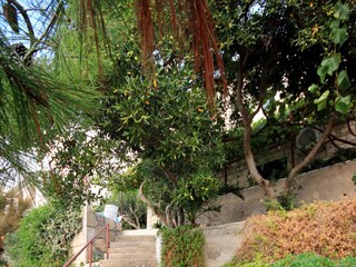 Apartment Zavalatica  8