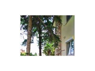 Apartment Valbandon  8