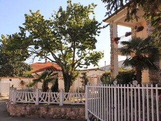 Apartment Valbandon  11