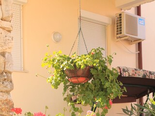 Apartment Valbandon  12