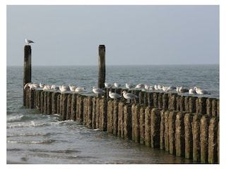 Das Meer ist zu jeder Jahreszeit wunderschön
