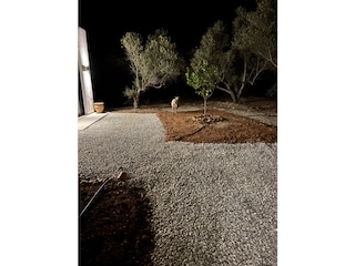 manchmal kommen auch tierische Besucher