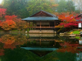 Holiday house Hasselt Environment 18