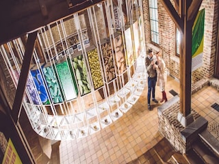 Vakantiehuis Hasselt Omgeving 20