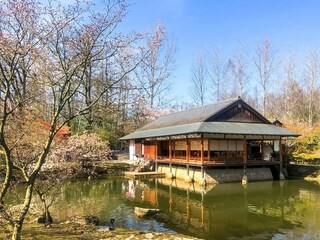 Ferienhaus Hasselt Umgebung 38