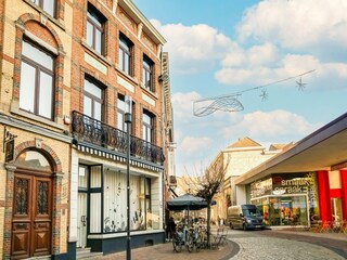 Maison de vacances Hasselt Environnement 38