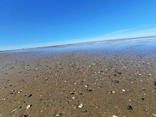 Chalet De Haan Environment 31