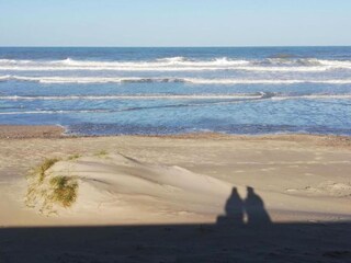 Chalet Westende Environnement 21