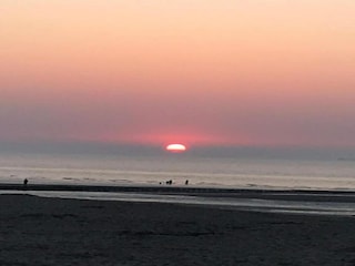 Chalet Westende Environment 30