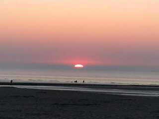 Chalet Westende Umgebung 31