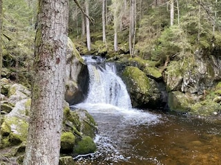 Apartment Herrischried Umgebung 27