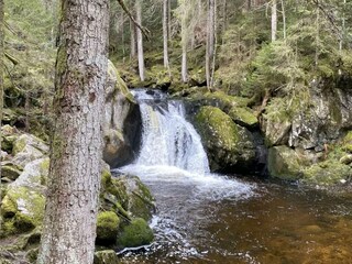 Appartement Herrischried Omgeving 28