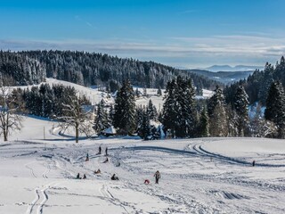 Apartment Herrischried Environment 28