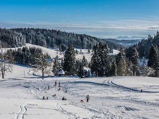 Apartment Herrischried Environment 37