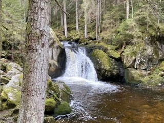 Apartamento Herrischried Entorno 36