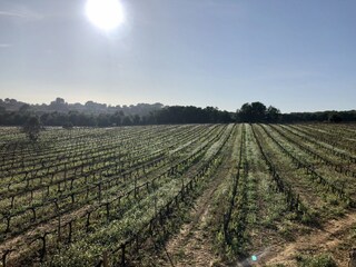 Villa Olèrdola Environnement 32