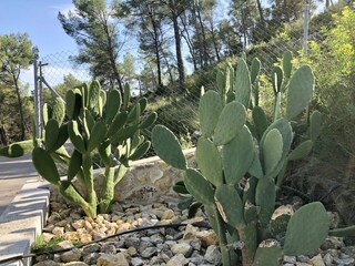Villa Olèrdola Grabación al aire libre 14