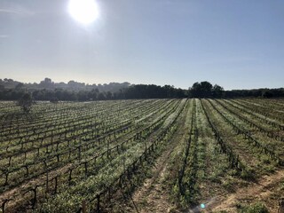 Villa Olèrdola Grabación al aire libre 17