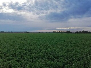 Chalet Posadas Entorno 14