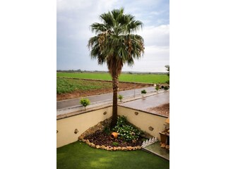 Chalet Posadas Entorno 11