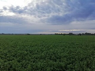 Chalet Posadas Umgebung 15