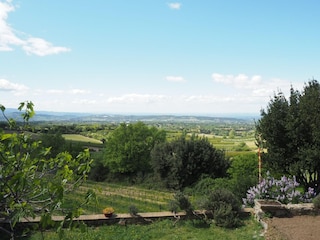 Ferienhaus Bedoin Außenaufnahme 5