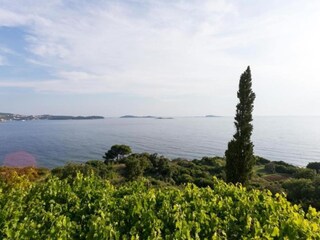 Appartement Mlini  30