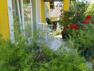 Apartment Draž Außenaufnahme 6