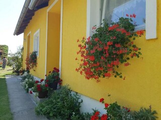 Apartamento Draž Grabación al aire libre 2