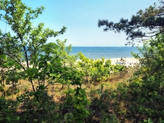 Apartamento Dźwirzyno Entorno 15