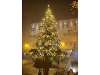 Holiday apartment Zell am See Outdoor Recording 33