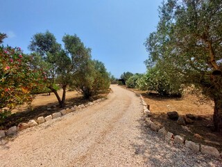 Finca Es Llombards Grabación al aire libre 2