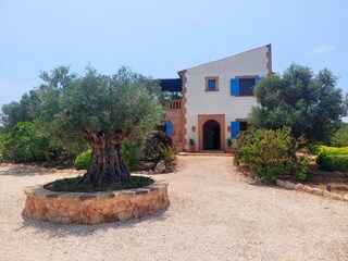 Finca Es Llombards Buitenaudio-opname 4