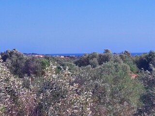 Finca Es Llombards Enregistrement extérieur 16